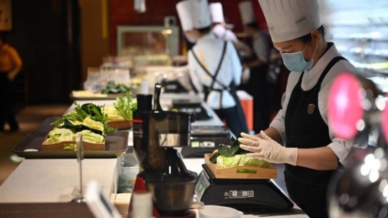 速冻食品与冷冻食品：批发价格的差异与考量