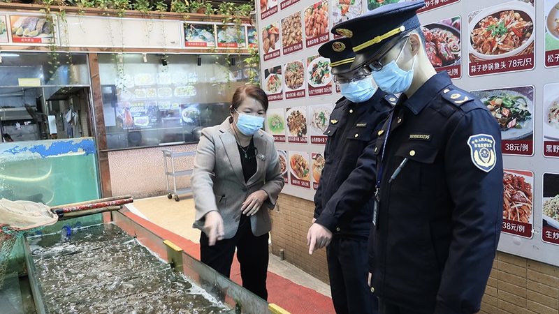 预制菜十大品牌标准规范：揭秘行业背后的秘密
