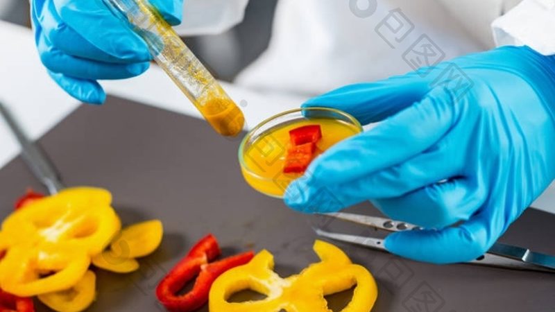 米面制品出口欧美，报关流程揭秘